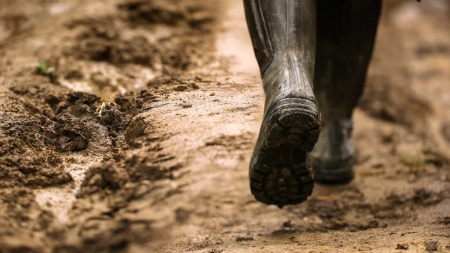 Best Muck Boots